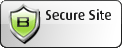 Website Security Test